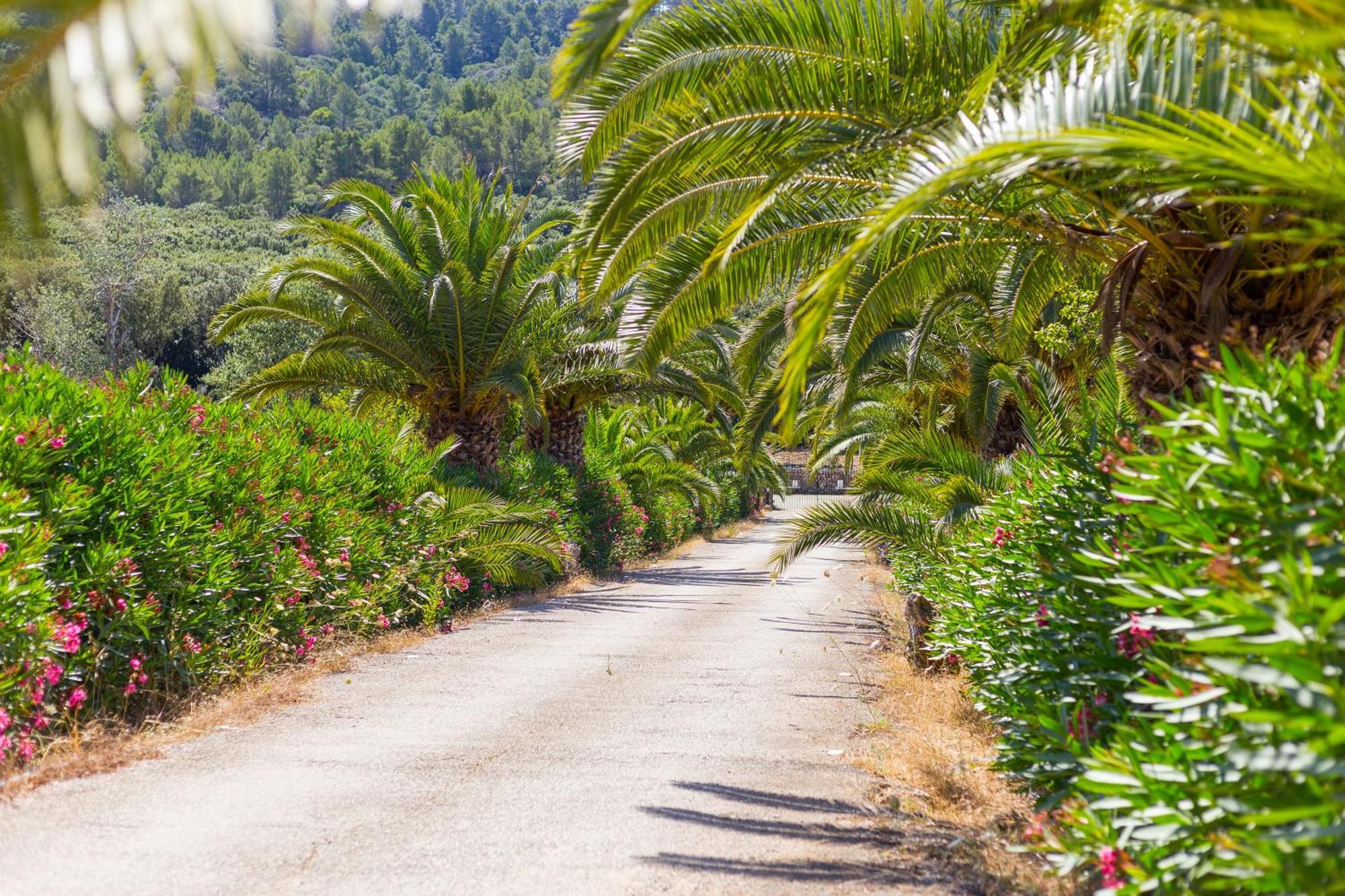 Agroturismo Fangar